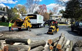 Best Hazardous Tree Removal  in Taft Heights, CA